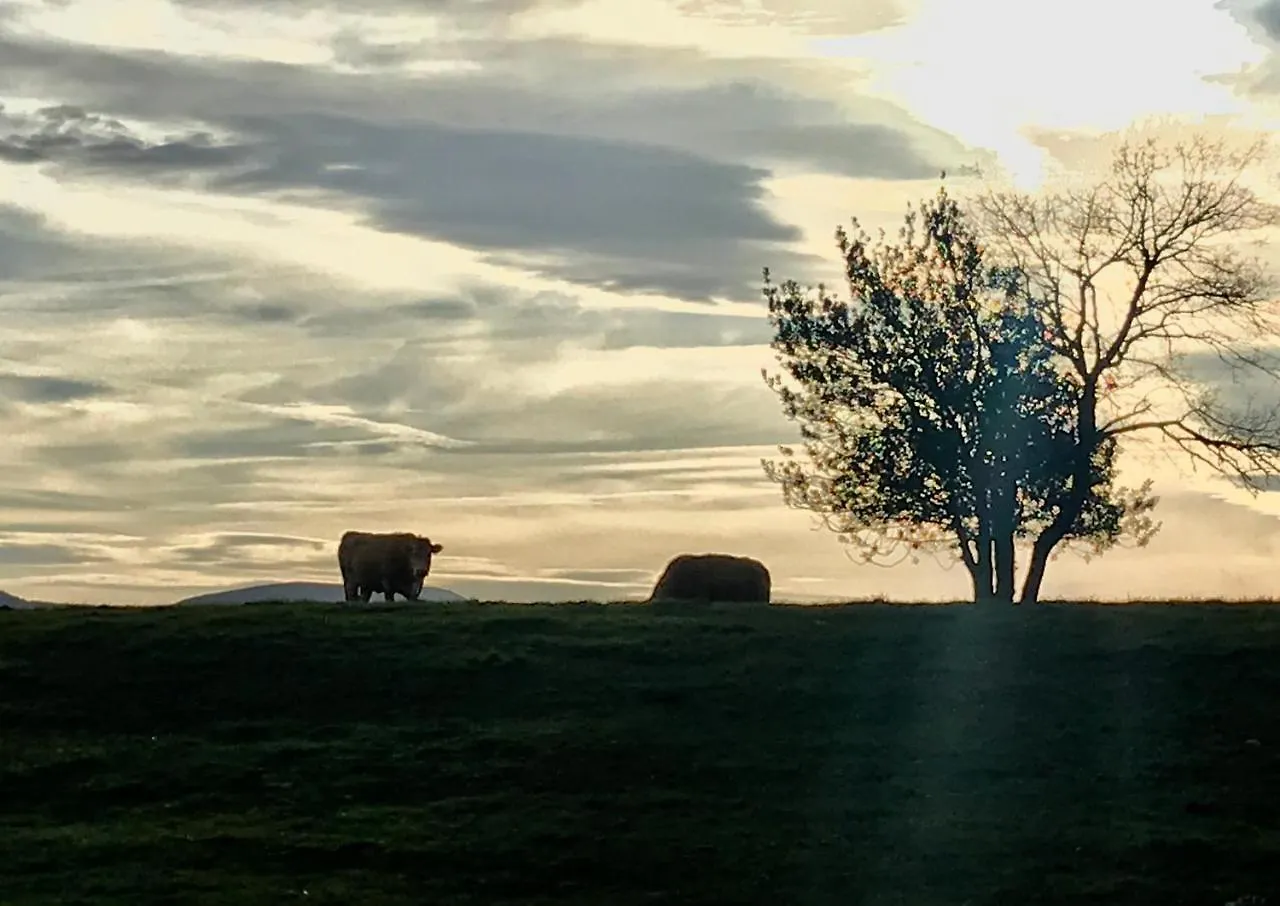 Casa Rural Ulle Gorri Unzá Hiszpania